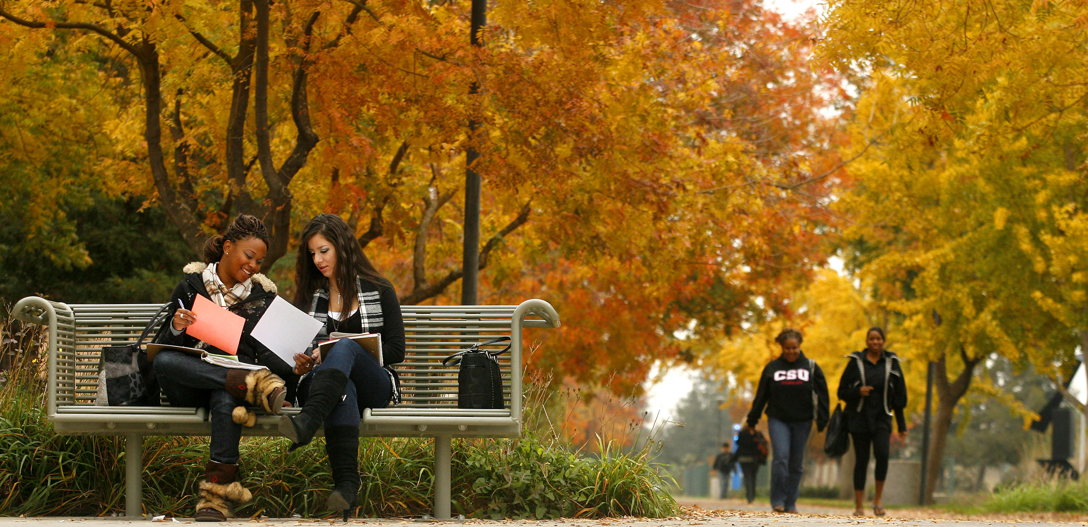 California State University Stanislaus Acalog ACMS 